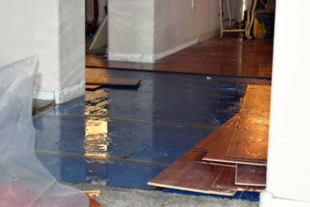 Professional Emergency Water Damage Restoration technician working in Albertson, NY
